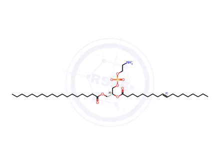 Chemical structure of 18:0-18:1 PE