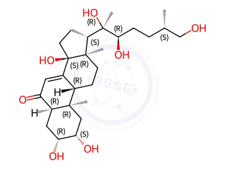Chemical structure of 25S-Inokosterone