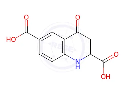 Chemical structure of 4-Oxo-1,4-dihydro-quinoline-2,6-dicarboxylic acid