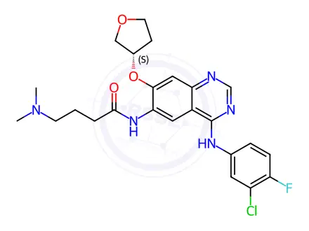 Chemical structure of Butanamide, N-[4-[(3-chloro-4-fluorophenyl)amino]-7-[[(3S)-tetrahydro-3-furanyl]oxy]-6-quinazolinyl]-4-(dimethylamino)-