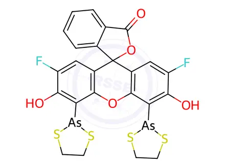 Chemical structure of 4',5'-Bis(1,3,2-dithiarsolan-2-yl)-2',7'-difluoro-3',6'-dihydroxyspiro[isobenzofuran-1(3H),9'-[9H]xanthen]-3-one