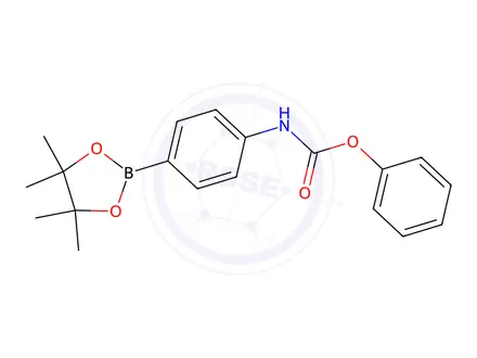 Chemical structure of Phenyl (4-(4,4,5,5-tetramethyl-1,3,2-dioxaborolan-2-yl)phenyl)carbamate