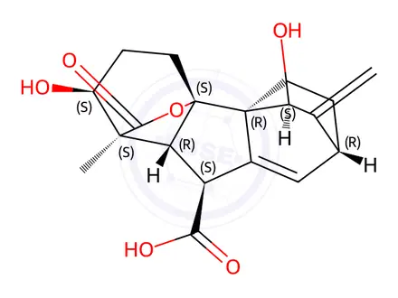 Chemical structure of (1S,11S)-1,3,4,5,6,7,9,9aβ-Octahydro-2α,11-dihydroxy-1β-methyl-10-methylene-13-oxo-4aα,1-(epoxymethano)-4bβ,7β-ethano-2H-fluorene-9β-carboxylic acid