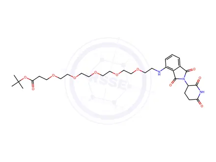 Chemical structure of tert-Butyl 1-((2-(2,6-dioxopiperidin-3-yl)-1,3-dioxoisoindolin-4-yl)amino)-3,6,9,12,15-pentaoxaoctadecan-18-oate