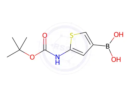Chemical structure of (5-((Tert-butoxycarbonyl)amino)thiophen-3-yl)boronic acid