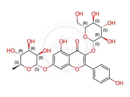 Chemical structure of (2S,3R,4S,5R,6R)-2-[3,5-dihydroxy-2-(4-hydroxyphenyl)-7-[(2S,3R,4R,5S, 6S)-3,4,5-trihydroxy-6-methyl-oxan-2-yl]oxy-chroman-3-yl]oxy-6-(hydrox ymethyl)oxane-3,4,5-triol