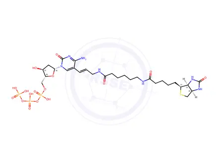 Chemical structure of Biotin-11-dCTP
