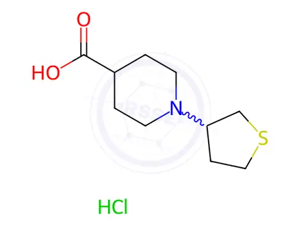 Chemical structure of 1-(Tetrahydro-3-thienyl)piperidine-4-carboxylic acid hydrochloride
