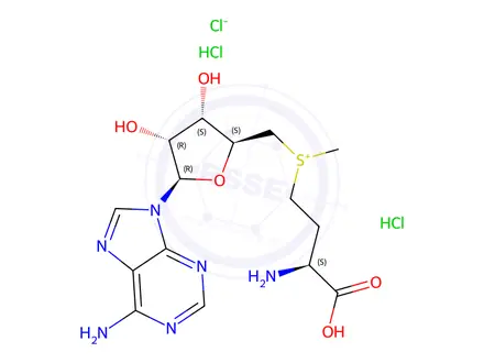 Chemical structure of ((S)-3-Amino-3-carboxypropyl)(((2S,3S,4R,5R)-5-(6-amino-9H-purin-9-yl)-3,4-dihydroxytetrahydrofuran-2-yl)methyl)(methyl)sulfonium Chloride Dihydrochloride