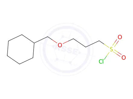 Chemical structure of 3-(Cyclohexylmethoxy)propane-1-sulfonyl chloride