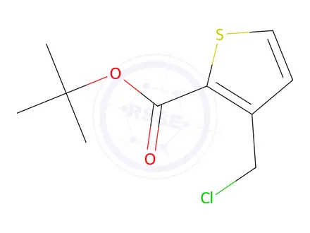 Chemical structure of tert-Butyl 3-(chloromethyl)thiophene-2-carboxylate
