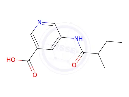 Chemical structure of 5-(2-Methylbutanamido)nicotinic acid