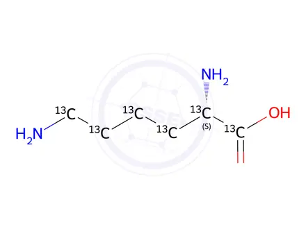 Chemical structure of L-Lysine Dihydrochloride-13C6