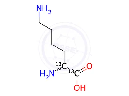 Chemical structure of DL-LYSINE-1,2-13C2 DIHYDROCHLORIDE