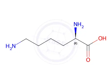 Chemical structure of D-Lysine