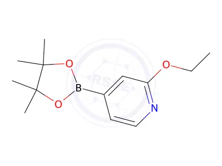 Chemical structure of 2-Ethoxy-4-(4,4,5,5-tetramethyl-1,3,2-dioxaborolan-2-yl)pyridine