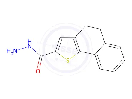 Chemical structure of 4,5-Dihydronaphtho[1,2-b]thiophene-2-carbohydrazide