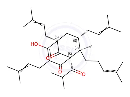 Chemical structure of Hyperforin Dicyclohexylammonium Salt