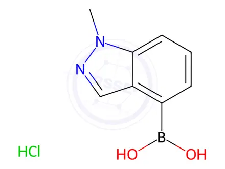 Chemical structure of 1-Methyl-1H-indazole-4-boronic Acid Hydrochloride Salt