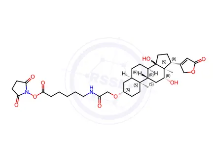 Chemical structure of Digoxigenin NHS-Ester