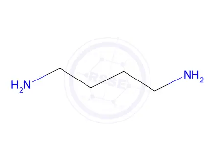 Chemical structure of 1,4-Diaminobutane