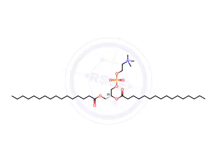 Chemical structure of 1,2-Dipalmitoyl-sn-glycero-3-phosphocholine (Colfosceril Palmitate)