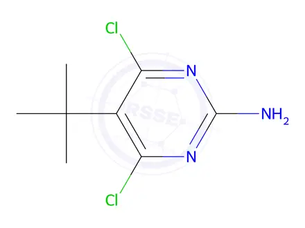 Chemical structure of 5-(tert-Butyl)-4,6-dichloropyrimidin-2-amine