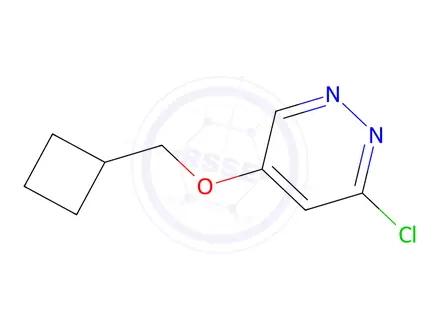 Chemical structure of 3-Chloro-5-(cyclobutylmethoxy)pyridazine