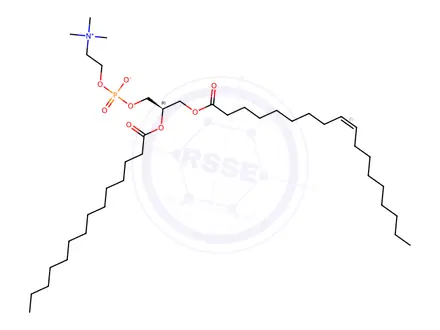 Chemical structure of 1-oleoyl-2-myristoyl-sn-glycero-3-phosphocholine