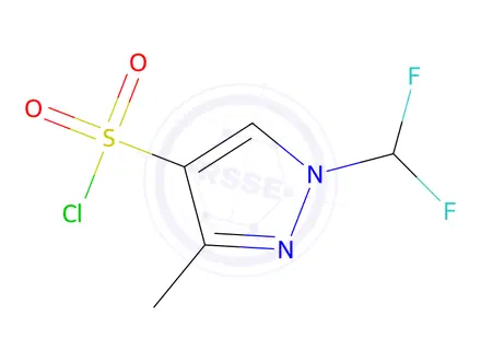 Chemical structure of 1-(difluoromethyl)-3-methyl-1H-pyrazole-4-sulfonyl chloride