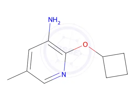 Chemical structure of 2-Cyclobutoxy-5-methylpyridin-3-amine