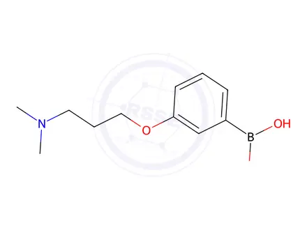 Chemical structure of (3-(3-(diMethylaMino)propoxy)phenyl)boronic acid