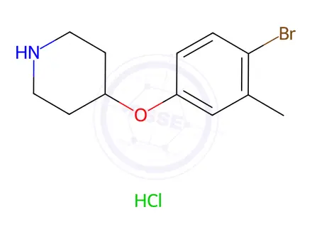 Chemical structure of 4-(4-Bromo-3-methylphenoxy)piperidine hydrochloride