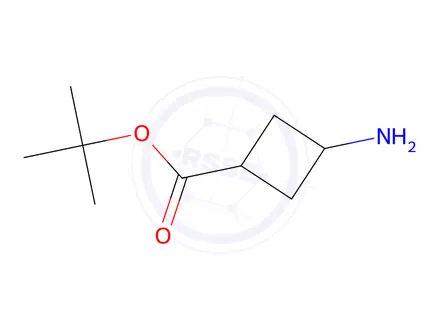 Chemical structure of trans-3-Aminocyclobutanecarboxylic acid tert-butyl ester