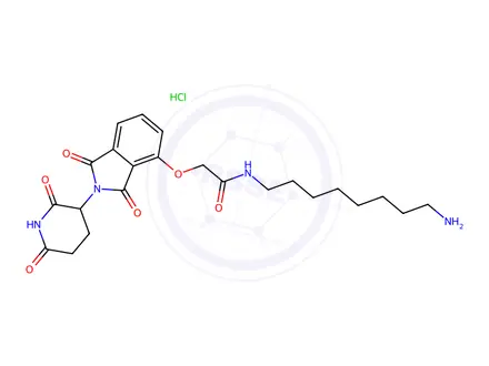 Chemical structure of Thalidomide-O-amido-C8-NH2 (hydrochloride)
