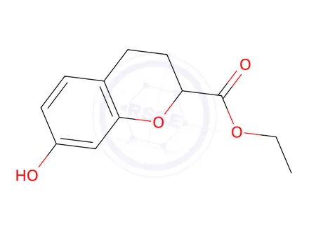 Chemical structure of Ethyl 7-hydroxychromane-2-carboxylate