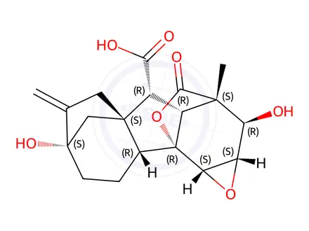 Chemical structure of 1,2-Epoxy GA3