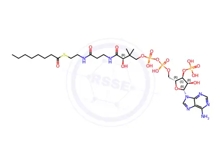 Chemical structure of Octanoyl Coenzyme A
