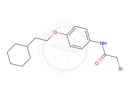 Chemical structure of 2-Bromo-N-[4-(2-cyclohexylethoxy)phenyl]acetamide