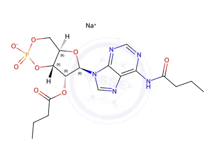 Chemical structure of Adenosine, N-(1-oxobutyl)-, cyclic 3',5'-(hydrogen phosphate) 2'-butanoate, sodium salt