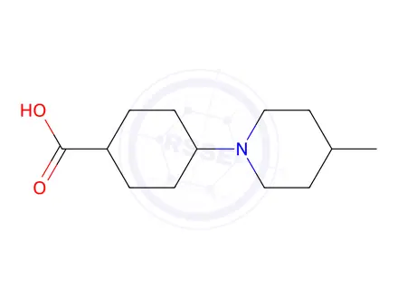 Chemical structure of 4-(4-methylpiperidin-1-yl)cyclohexane-1-carboxylic acid