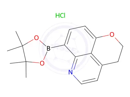 Chemical structure of 7-(4,4,5,5-Tetramethyl-1,3,2-dioxaborolan-2-yl)-2,3-dihydropyrano[4,3,2-de]quinoline hydrochloride