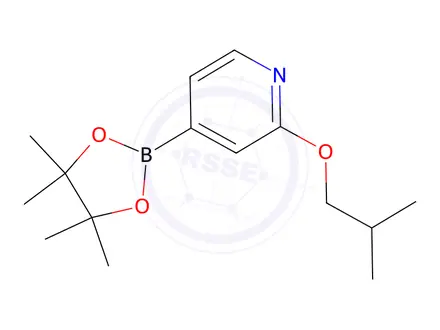 Chemical structure of 2-isobutoxy-4-(4,4,5,5-tetramethyl-1,3,2-dioxaborolan-2-yl)pyridine