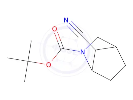 Chemical structure of Tert-butyl 7-cyano-2-azabicyclo[2.2.1]Heptane-2-carboxylate