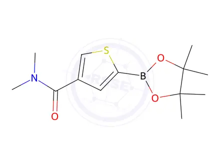 Chemical structure of N,N-Dimethyl-5-(4,4,5,5-tetramethyl-1,3,2-dioxaborolan-2-yl)thiophene-3-carboxamide