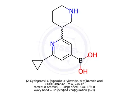 Chemical structure of (2-Cyclopropyl-6-(piperidin-3-yl)pyridin-4-yl)boronic acid