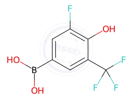 Chemical structure of 3-Fluoro-4-hydroxy-5-(trifluoromethyl)phenylboronic acid