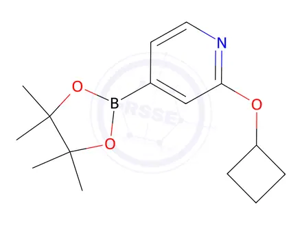 Chemical structure of 2-cyclobutoxy-4-(4,4,5,5-tetramethyl-1,3,2-dioxaborolan-2-yl)pyridine