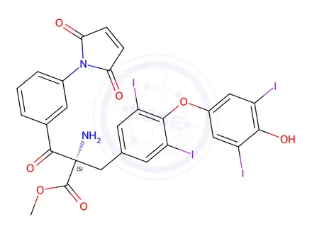 Chemical structure of m-Maleimidobenzoyl-L-thyroxine Methyl Ester
