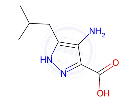 Chemical structure of 5-(2-Isobutyl)-4-amino-1H-pyrazole-3-carboxylic acid